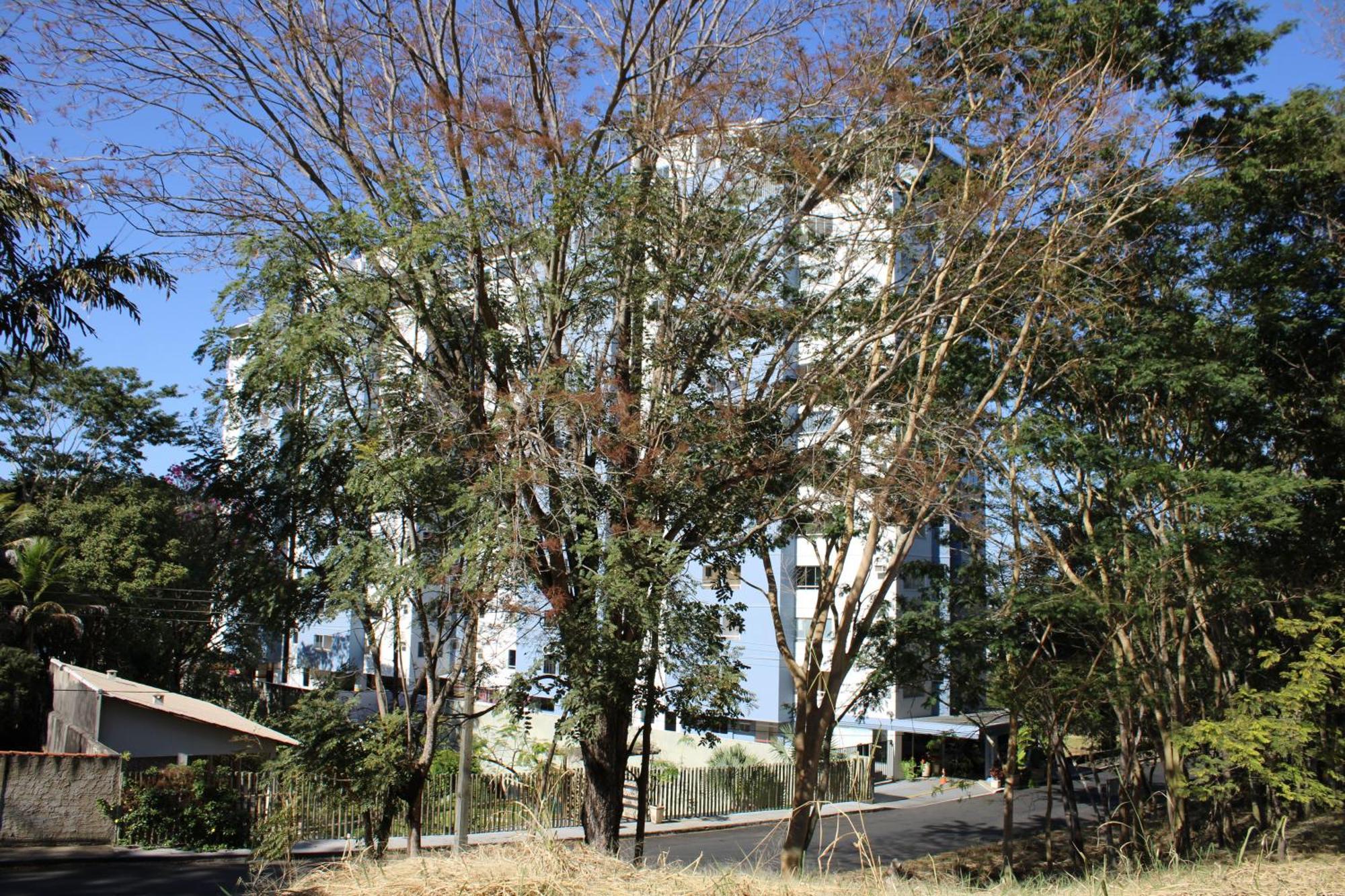 Hotel Flat 609-B Rio Quente Exterior foto